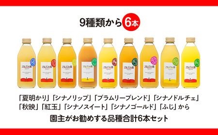 果汁100％ジュースで味わう 品種別 リンゴジュース 園主お任せ 小瓶 6本 セット 詰め合わせ 園主お勧め りんご 林檎 アップル アップルジュース ミックスジュース 無添加 飲料 飲料類 甘い 豊饒な香り 酸味爽やか 濃厚 長野 長野県