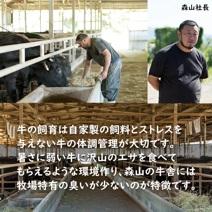 【ふるなびWEEK対象】森山牧場 牛肉すき焼き 500g 牛肉すき焼き B125-006
