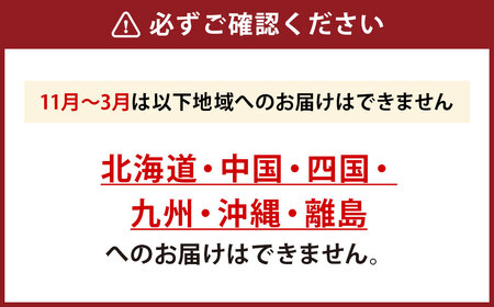 ミディ胡蝶蘭 4寸鉢 2本立 1鉢《品種や色の選択はおまかせ》/ 石原洋蘭園 / 山梨県 中央市