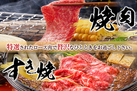 齋藤牛 特選肩ロース焼肉＆スライス（各500g）計1kg【D117】