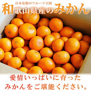 G7072_【2027年先行予約】初夏のみかん なつみ5kg