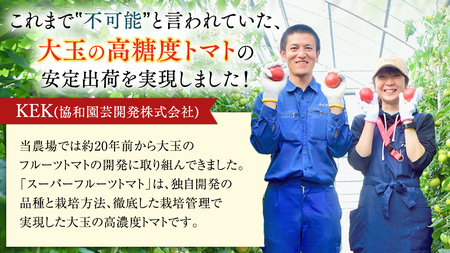 訳あり スーパーフルーツトマト 大箱 約2.6kg × 1箱 (20～35玉/1箱)   [BC038sa]