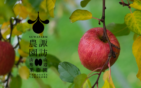 【先行予約】2026年 山形県産 完熟 サンふじ りんご 秀品以上 3kg 7~10個 2026年12月上旬から順次発送 リンゴ フルーツ ※沖縄・離島への配送不可  F20A-902