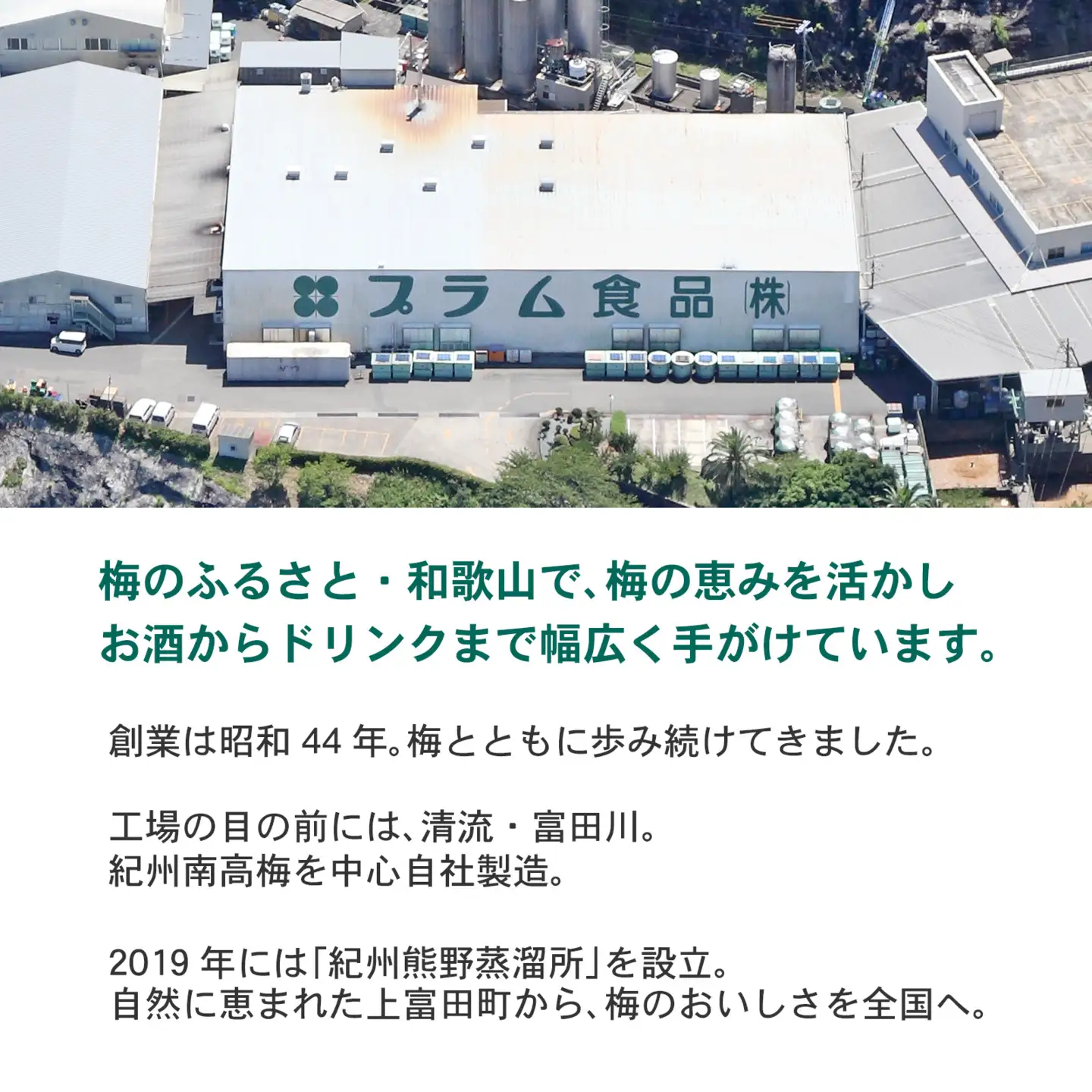 希釈用梅ドリンク 梅ハニップ 3本セット［PL5］