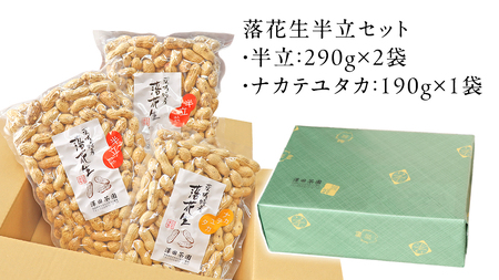 牛久市産 落花生 半立セット