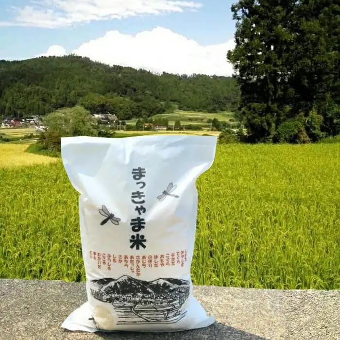 （毎月／全5回）【玄米】定期便　特別栽培米 石川県産こしひかり棚田米”まっきゃま米”
