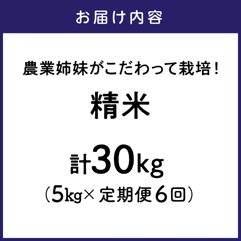 農業姉妹がこだわって栽培！ 大阪府産 泉南市のお米 白米5kg 半年定期便【024A-024】