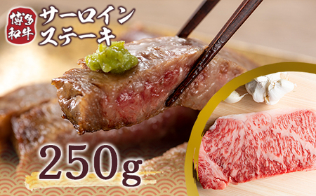 ステーキ サーロイン 博多和牛 250g 1枚 ステーキ [um40azp010008]