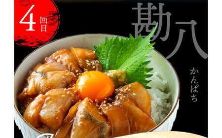 《4ヶ月定期便》芸西村人気海鮮の4ヶ月定期便