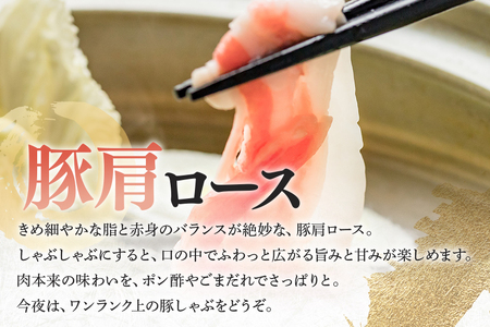 飛騨牛 A5等級【冷蔵配送】飛騨牛・ボーノポーク 食べ比べセット【1.2kg】 着日指定可