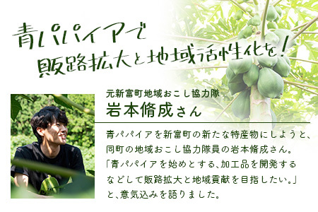 宮崎素材の手作りカヌレ！抹茶タイプ＆パパイア果実茶 【A244】