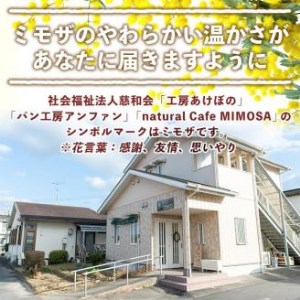 isa333 【定期便・全3回(3ヶ月連続)】プレーンベーグル(総計48個・16個×3回) 天然酵母 パン 国産 白神こだま酵母 ヒマラヤ岩塩 焼きたて 急速冷凍 ベーグル 牛乳・卵・バター不使用 ベーグルサンド 就労支援【工房あけぼの】