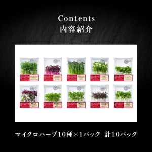【マイクロハーブ セット（D）／スターターA】 [h173]