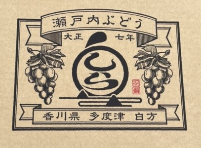 島田農園　ピオーネ2kg（3房～4房入り）【令和8年8月中旬頃発送！予約受付中】【A-78】