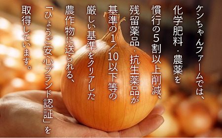 【ケンちゃんファーム】＼うまい玉ねぎできたでー／淡路島たまねぎで作った乾燥たまねぎ