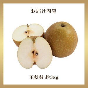 【先行予約】王秋梨 3kg前後 ※2026年10月下旬～12月上旬頃に順次発送予定 【梨 なし 果物 フルーツ くだもの 鳥取県産 北栄町 おすすめ 人気】