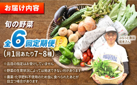 【全6回定期便】自然栽培・旬の野菜詰め合わせ 五島市/ぷらっと農園 [PDS008]