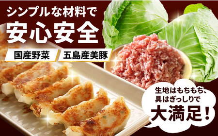【12回定期便】美豚餃子75個（15個×5袋） 五島市/長崎フードサービス[PEL012]  冷凍 餃子 飲茶 中華 ぎょうざ ギョウザ