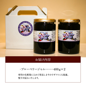 ブルーベリージャム2個セット _U126-0003