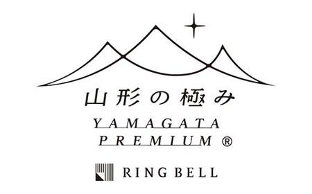 【山形の極み】月山ラーメン10食セット F2Y-6102