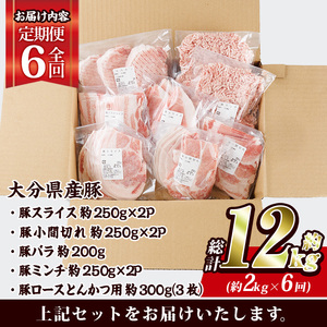＜定期便・全6回 (毎月)＞ 豚肉 バラエティーパック (2kg×6回・総量12kg) 豚バラ しゃぶしゃぶ 鍋 とんかつ ロース 小分け 個包装 豚こま 小間切れ スライス ミンチ 5種 セット 詰め合わせ 冷凍 食べ比べ 国産 大分県 佐伯市【BD322】【西日本畜産】