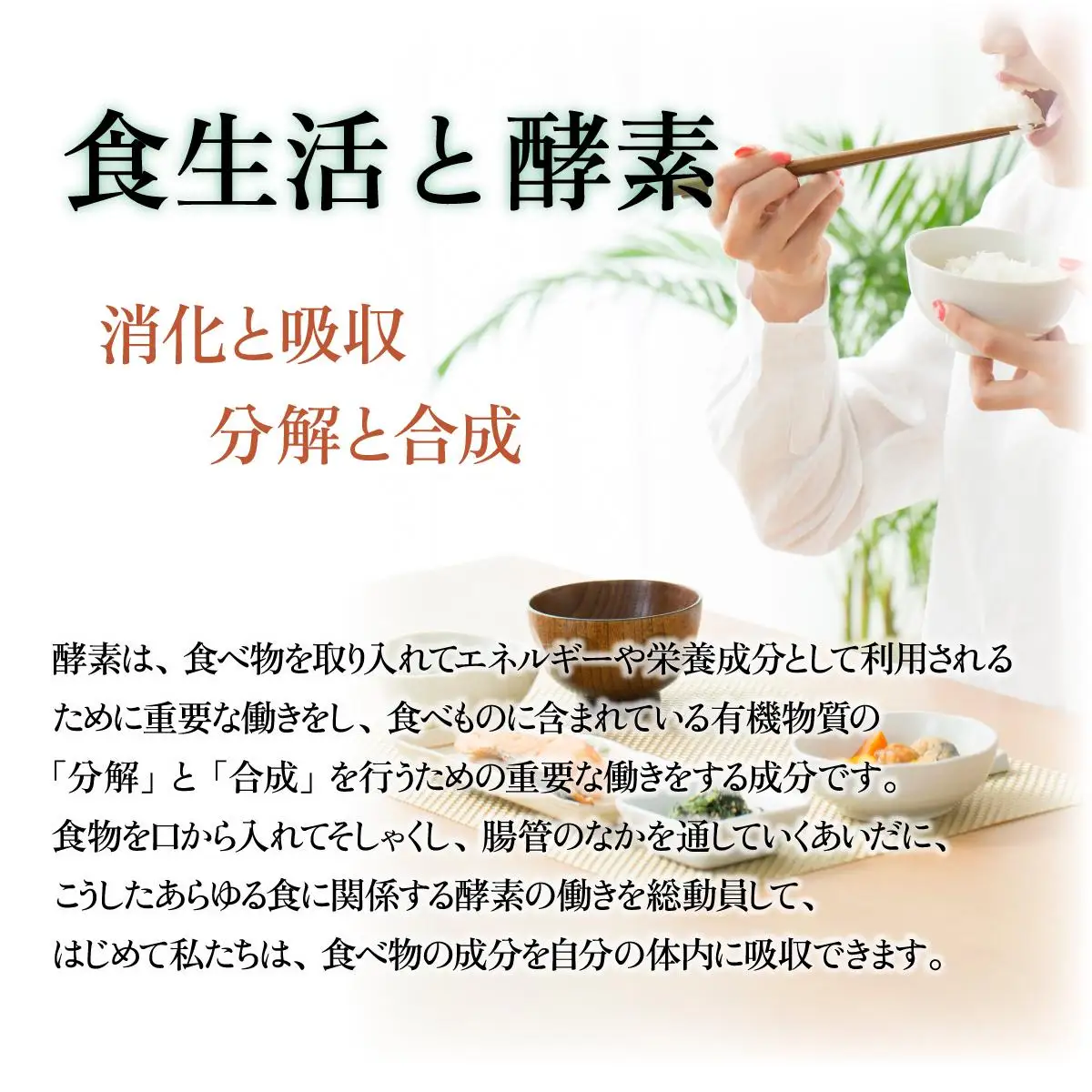 スーパーオータカ 1200ml 大高酵素