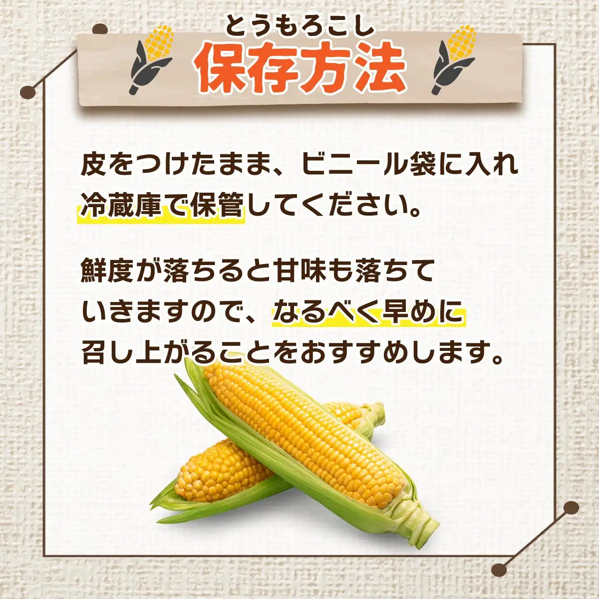 ＜先行予約＞北海道産 とうもろこし(恵味/ホイップコーン) 計20本【55250487】