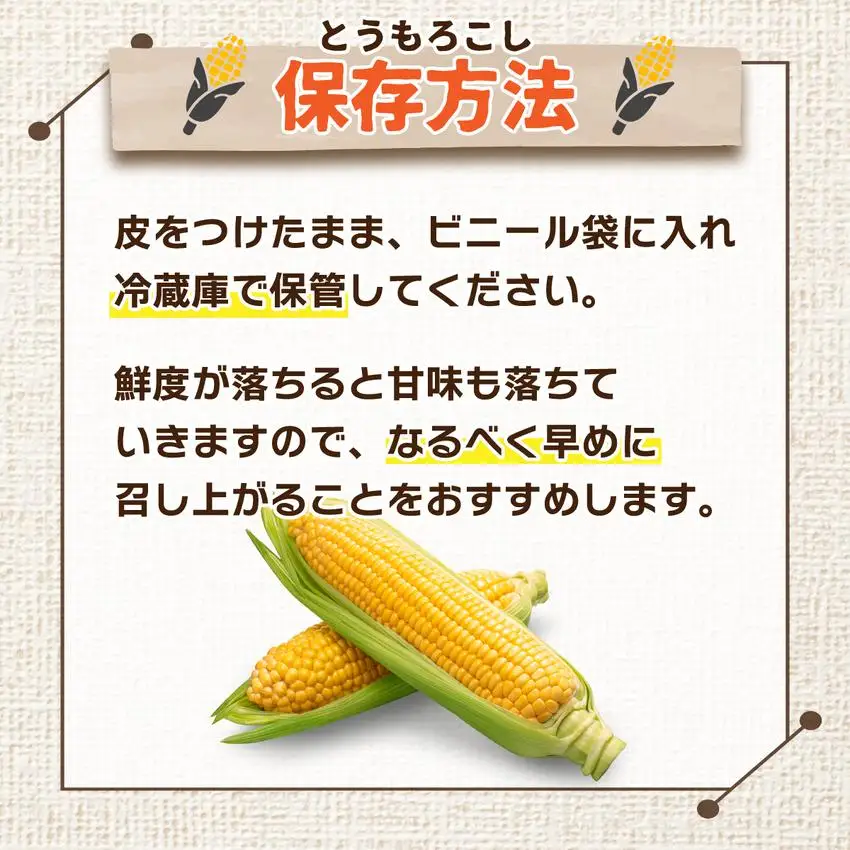 ＜先行予約＞北海道産 とうもろこし(ホイップコーン) Lサイズ 10本 【55250483】