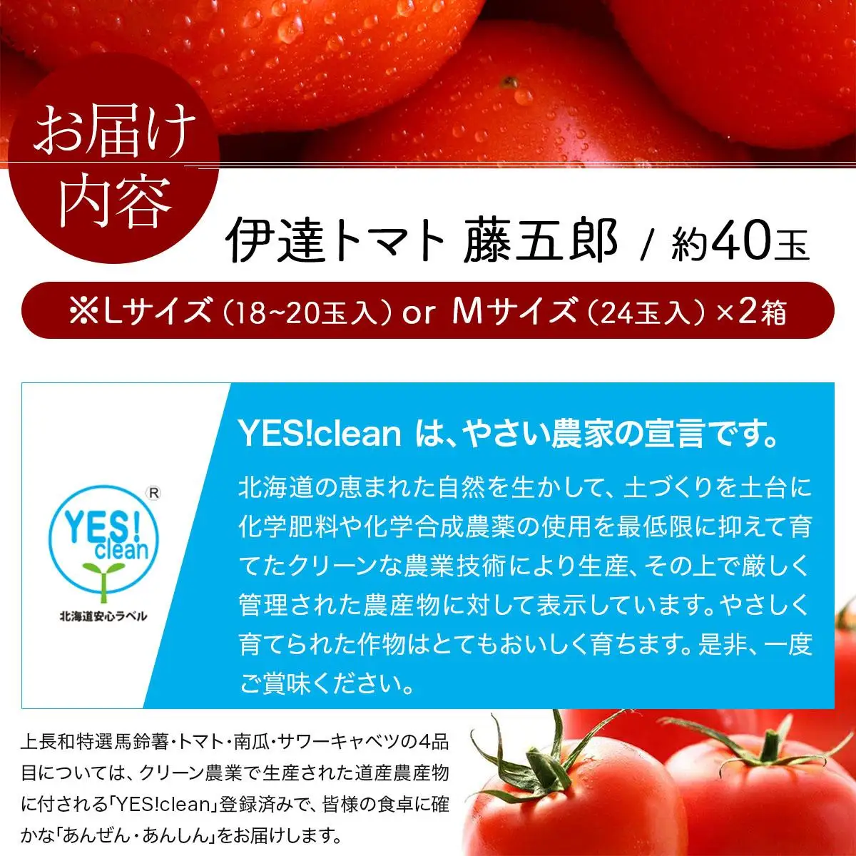 【2026年 発送 】 先行予約 北海道 伊達 トマト 藤五郎  約 40 玉 M ～ L サイズ とまと 新鮮 ジューシー 産地直送