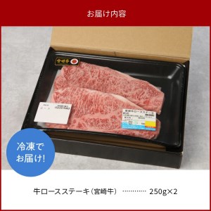 宮崎牛ロースステーキ 250g×2 計500g N0147-YB827