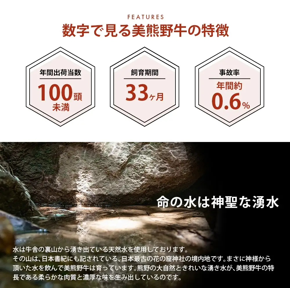 ハンバーグ 美熊野牛 100％ 100g×5個 ハンバーグ【okad0007】