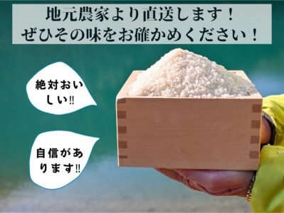 令和8年産【6回定期便】白米 コシヒカリ 5kg 精米 定期便