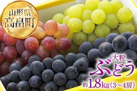 【期間限定発送】 ぶどう 2～3色 約 1.8kg 詰め合わせ セット [JA山形おきたま 山形県 高畠町 tk06ays870056]
