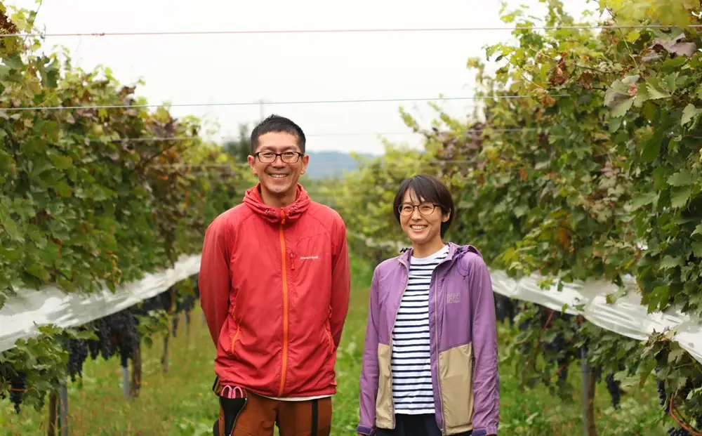 上山産・絶品シャインマスカット　１.８ｋｇ以上♪　0140-2609