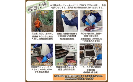 長野県産鹿肉　愛犬用　ミンチセット 無添加 ドックフード えさ エサ 餌 
