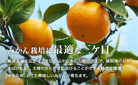 三ヶ日みかんジュース「浜名湖まるごと純粋搾り」720ml 6本【静岡 三ヶ日 みかん ジュース】 果汁飲料 野菜飲料 三ケ日みかん 青島 