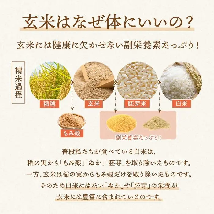 金芽ロウカット玄米 8kg（2kg×4）　玄米・個包装・東洋ライス・人気