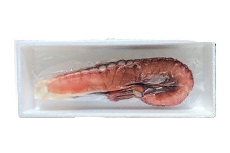 【北海道根室産】たこ足800g～1.4kg×1本 A-36051