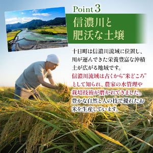 令和7年度産【十日町産】 魚沼産コシヒカリ15kg 米 お米 こしひかり 精米 新潟 