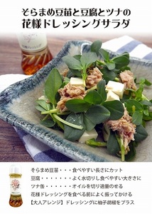 【サラダが食べたくなる】花様ドレッシング　3本入り　出汁 カツオ風味 塩味 酸味が少ない ブレンド 和風 ドレッシング 新感覚 人気 EVERGREEN AF-0025