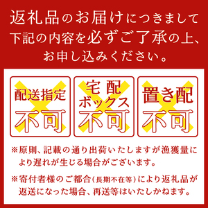 a19-045　ねぎとろ100g28Ｐ