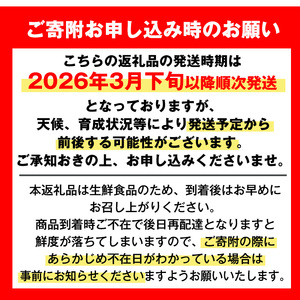 i594 ＜2026年3月下旬～6月中旬の間に発送予定＞《傷ありのため訳あり》農6みかん(約10kg) 果物 フルーツ 柑橘 国産 鹿児島県産 みかん 蜜柑 【江崎果樹園】