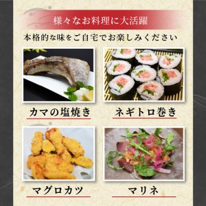 鷹島産本まぐろ定期便（1本分）( マグロ まぐろ 本マグロ 本まぐろ 鮪 赤身 中トロ 冷凍 刺身 刺し身 海鮮 海の幸 魚 魚介 九州 長崎 松浦市 )【T00-001】