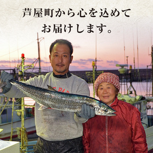 芦屋町伝統の味「あしやみりん」と芦屋町の特産品鰆(さわら)の製品詰め合わせ(計4種) いわし イワシ 鰯 鰆 サワラ 鰆 みりん干し みりんぼし 味噌 みそ 味噌漬け 味噌漬 春雨 はるさめ スープ お吸い物 小分け 惣菜 おかず 簡単調理 時短【中西商店】as07-005
