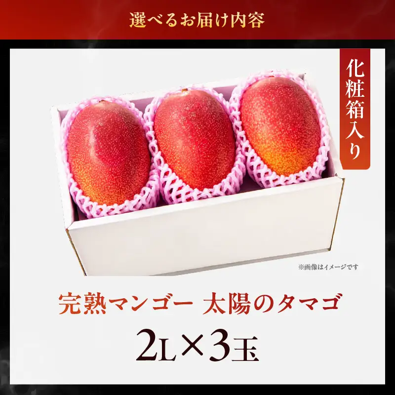 【数量限定】完熟マンゴー『太陽のタマゴ』３玉（約１kg）/ 先行予約 太陽のたまご マンゴー【JA綾町】_A0114-1011