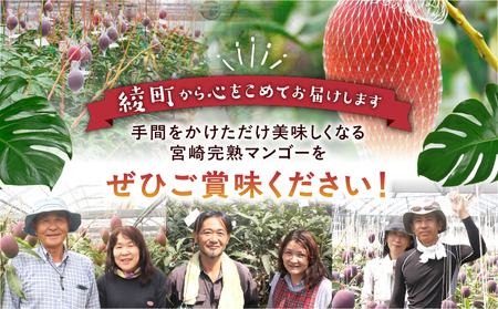 【先行予約/数量限定】完熟マンゴー ２L×２玉（パック）/ 宮崎県産 マンゴー【JA綾町】_A0114-1021