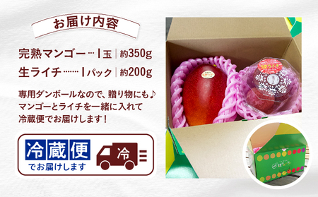 【先行予約】希少 完熟マンゴー＆生ライチセット / 宮崎県産 ライチ マンゴー【JA綾町】_A0114-2091