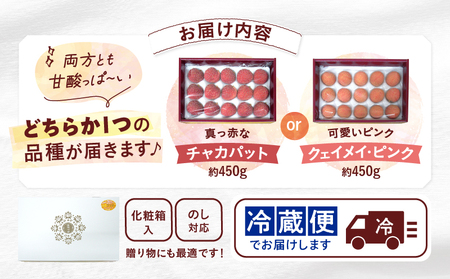 【先行予約】希少 綾生ライチ（化粧箱入り） / 宮崎県産 ライチ 国産【JA綾町】_A0114-1041