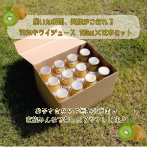 阿武町産 完熟 キウイ フルーツ 70％ 果汁入り 180ml×12本セット 飲みきりサイズ 朝食 や毎日の ビタミン 補給 に最適 フルーツジュース