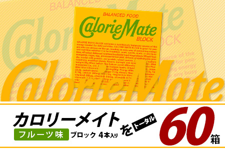 大塚製薬】カロリーメイトブロック 4本入り60箱≪フルーツ味≫［徳島
